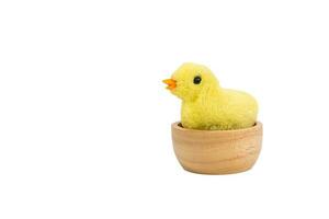 Little chicks in the wooden cup isolated on white background. Clipping path photo