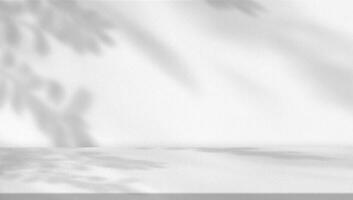 Studio background,Leaves shadow with sunbeam reflection on grey concrete wall background,Empty White Studio Room with abstract light on Cement floor,Backdrop display for product presentation photo