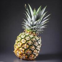 Tropical fruit pineapple in isolation ,. photo