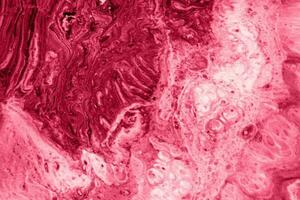Spread-out acrylic paint. Abstract background, made in the technique of fluid art. Demonstrating the colors of 2023 - Viva Magenta photo