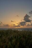 sunset in the meadow photo