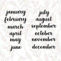 Names of months for calendar or notes book vector