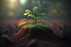 planta creciente en granja suelo o bosque con luz de sol a tiempo de día. joven planta es creciente. mundo tierra día. mundo ambiente día. tierra conservación, ecología o global calentamiento por ai generado foto