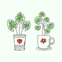 A houseplant. Set. Potted plant in a doodle style. Flower care.   Vector graphics.