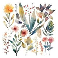 Set of watercolor flowers leaves and twigs on a white background vector