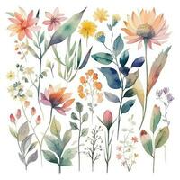 Set of watercolor flowers leaves and twigs on a white background vector