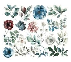 Set of watercolor flowers leaves and twigs on a white background vector