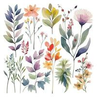 Set of watercolor flowers leaves and twigs on a white background vector