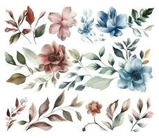 Set of watercolor flowers leaves and twigs on a white background vector