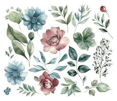 Set of watercolor flowers leaves and twigs on a white background vector