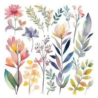 Set of watercolor flowers leaves and twigs on a white background vector