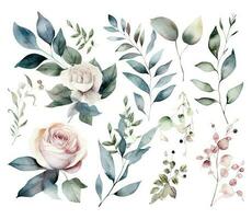 Set of watercolor flowers leaves and twigs on a white background vector