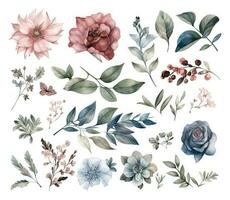 Set of watercolor flowers leaves and twigs on a white background vector