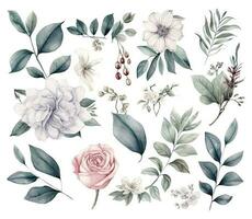 Set of watercolor flowers leaves and twigs on a white background vector