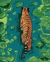 A large orange male tiger walks in a lake with water hyacinth leaves vector
