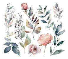 Set of watercolor flowers leaves and twigs on a white background vector