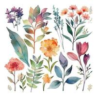 Set of watercolor flowers leaves and twigs on a white background vector