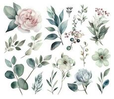 Set of watercolor flowers leaves and twigs on a white background vector