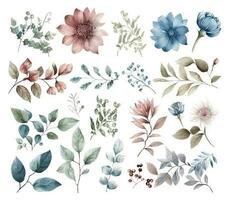 Set of watercolor flowers leaves and twigs on a white background vector