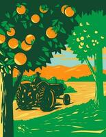 naranja arboleda en central Florida con granjero conducción Clásico tractor wpa Arte deco póster vector