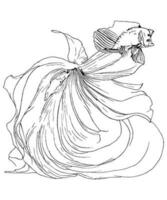 Betta pescado línea mano dibujo negro y blanco ilustración siamés luchando pescado dibujo para colorante libro vector