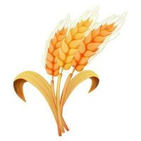 Wheat spikelet, grain on straw in cartoon style, detailed isolated on white background. Agriculture plant with seeds. Vector illustration