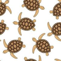 Turtle brown seamless pattern, beautiful character. Underwater, marine wild turtles isolated on white. vector