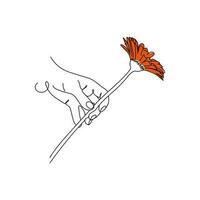 Hand holding a single gerbera flower. Line art. Hand drawn vector illustration.