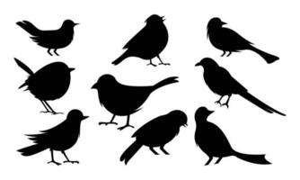 Bird silhouette icon symbol illustration vector set bundle asset template shadow, black, pultry, fly bird editable