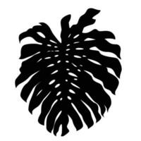 Tropical jungle Monstera leaf in simple black vector