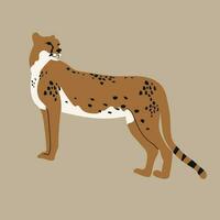 Vector illustration of an African cheetah on a beige background. Side view.