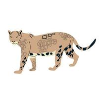 Vector illustration of a jaguar on a white background. Side view.