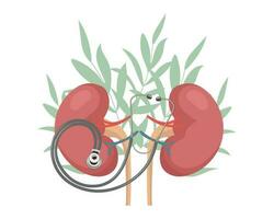 Healthy human kidneys with a stethoscope on the background of leaves and flowers. Medicine concept, digestive system. Vector