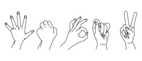 Set of drawn outlines of human hands. Set of hands in a collection of various gestures, vector illustration in the style of a simple linear doodle sketch