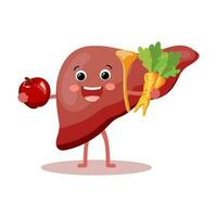 Cute cheerful cartoon character of a healthy human liver. Human anatomy, medical concept. Illustration, icon, vector