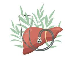 Healthy liver with a stethoscope on the background of leaves and flowers. Medicine concept, digestive system. Vector