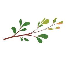 Spring buds and leaves on a tree branch vector stock illustration. Close-up of leaf sprouts and young shoots of a bush. Tropical greenery. . Isolated on a white background.