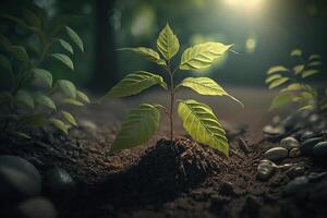 planta creciente en granja suelo o bosque con luz de sol a tiempo de día. joven planta es creciente. mundo tierra día. mundo ambiente día. tierra conservación, ecología o global calentamiento por ai generado foto