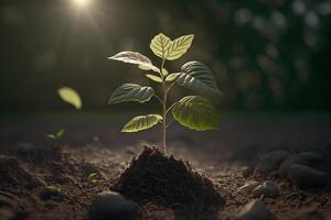 planta creciente en granja suelo o bosque con luz de sol a tiempo de día. joven planta es creciente. mundo tierra día. mundo ambiente día. tierra conservación, ecología o global calentamiento por ai generado foto