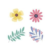 Botanical flowers and leaves vector