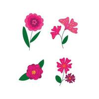 beautiful spring flowers collection in vector