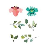 flat flower leaves collection vector