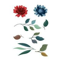 beautiful flowers leaves vector