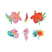 set of tropical flowers vector