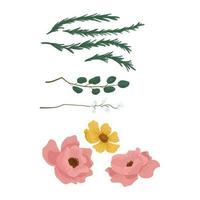 spring flowers leaves collection vector