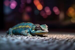 Colorful Chameleon perched on a carpet photo