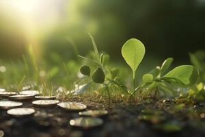 Green Seedling with Coins on the Ground, Eco-Financing and Sustainable Development Concept photo
