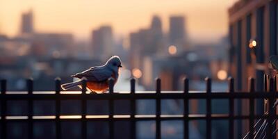 salvaje pájaro encaramado en acero barandilla de fuego escapar, con urbano horizonte durante puesta de sol en antecedentes ai generado foto