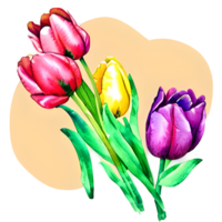 Watercolor vintage tulips with floral design png