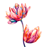 waterverf wijnoogst tulpen met bloemen ontwerp gegenereerd ai png